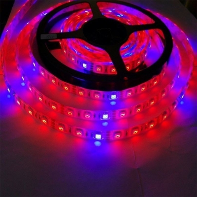 Material del cuerpo de la lámpara de arranque de semillas PC Led Grow Light Strip con 5050 Dc 12v/24v