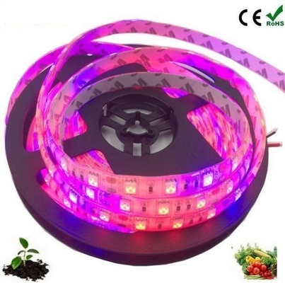 Material del cuerpo de la lámpara de arranque de semillas PC Led Grow Light Strip con 5050 Dc 12v/24v