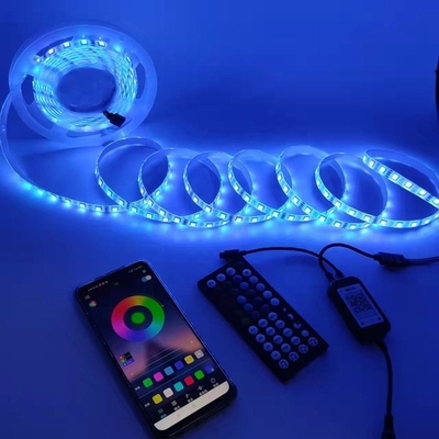 85-265V Voltado de entrada Iluminación inteligente LED Grow Light Strip 5 metros para acampar