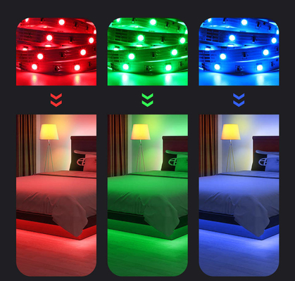 85-265V Voltado de entrada Iluminación inteligente LED Grow Light Strip 5 metros para acampar